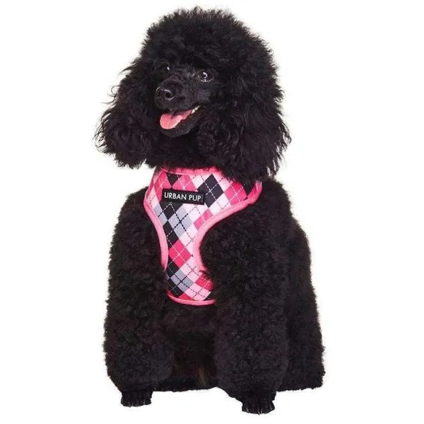Pink and Black Argyle Dog Harness - Sale - 1