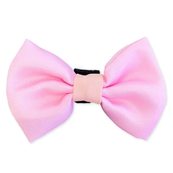 Pink Dog Bow Tie - Piggie - 1