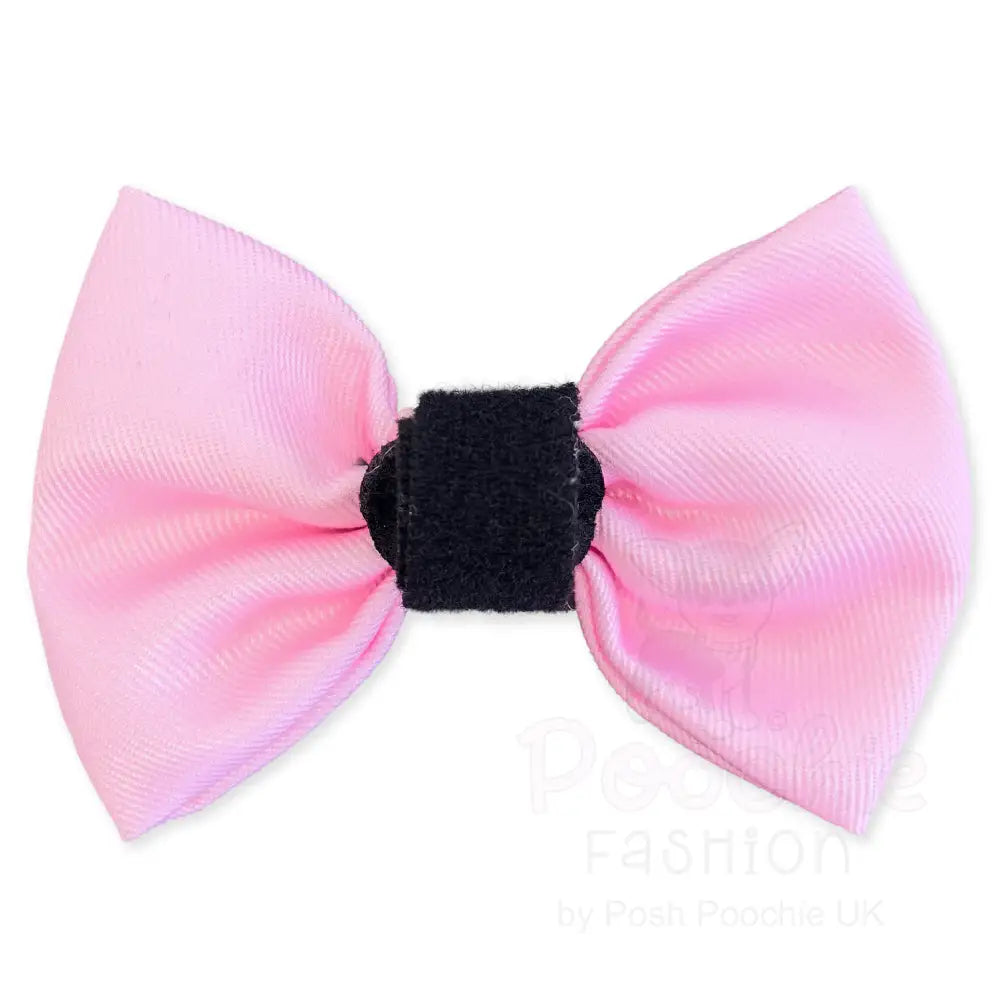 Pink Dog Bow Tie - Piggie - 2