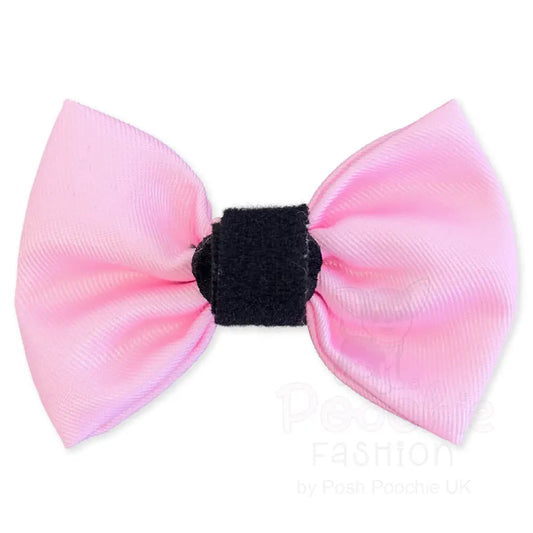Pink Dog Bow Tie - Piggie - 2
