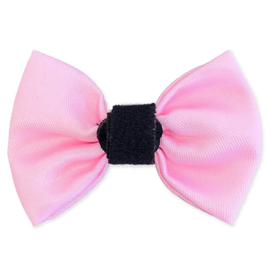 Pink Dog Bow Tie - Piggie - 2