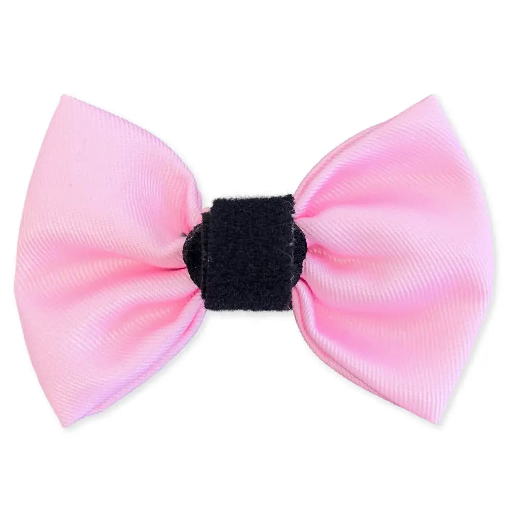 Pink Dog Bow Tie - Piggie - 2