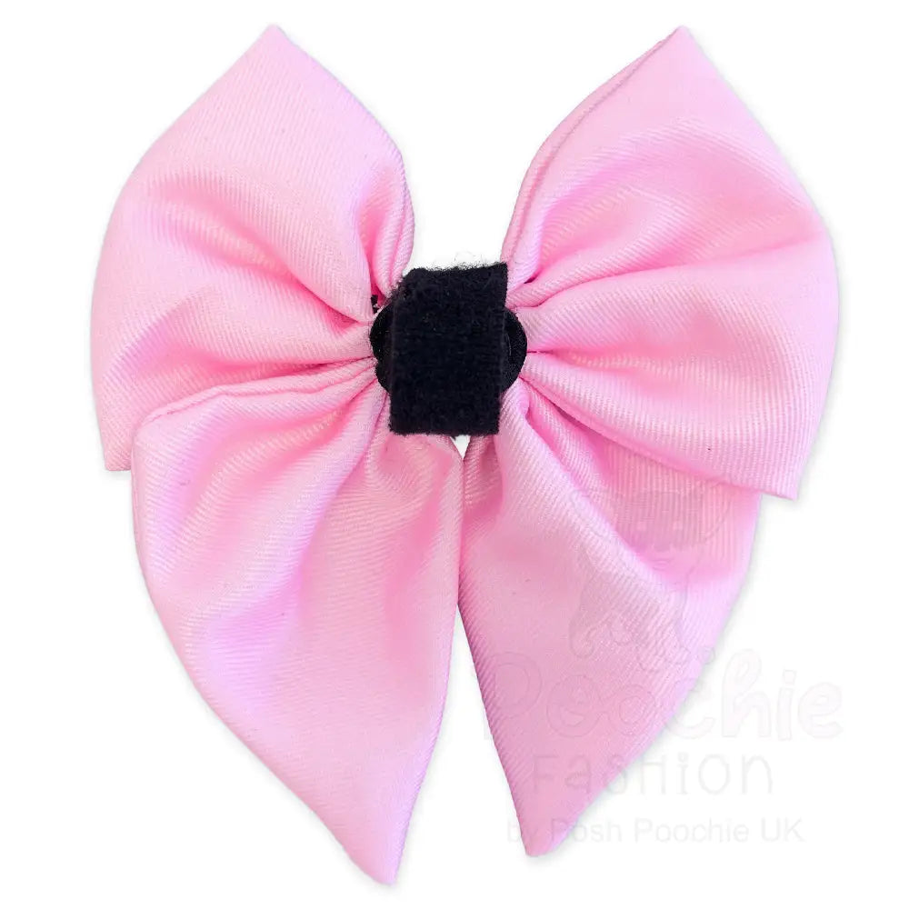 Pink Dog Sailor Bow Tie - Piggie - 2
