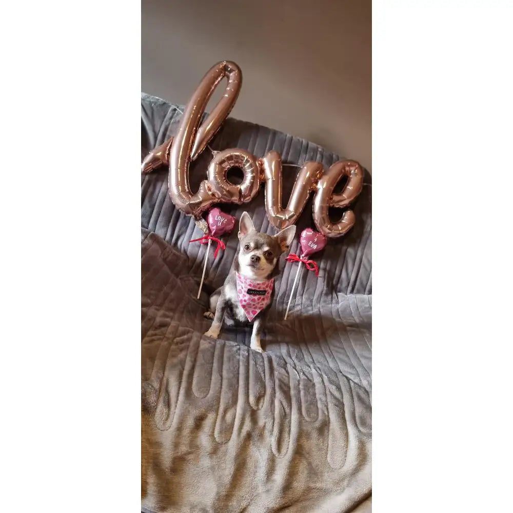 Pink Hearts Dog Bandana Collar Small - Sale - 4