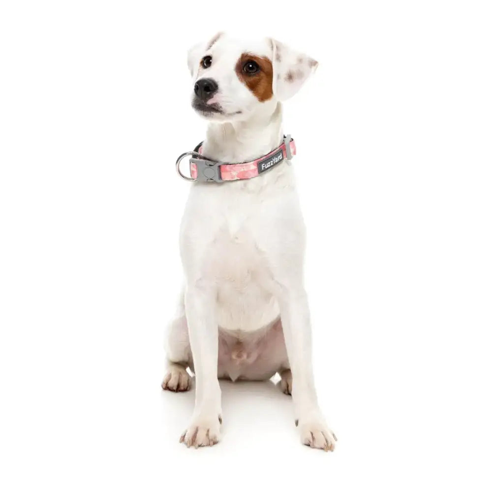 Pink Lemonade Dog Collar by Fuzzyard - Fuzzyard - 2