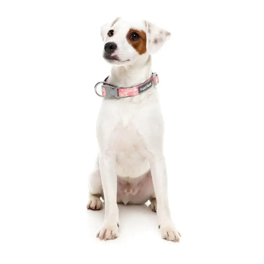 Pink Lemonade Dog Collar by Fuzzyard - Fuzzyard - 2