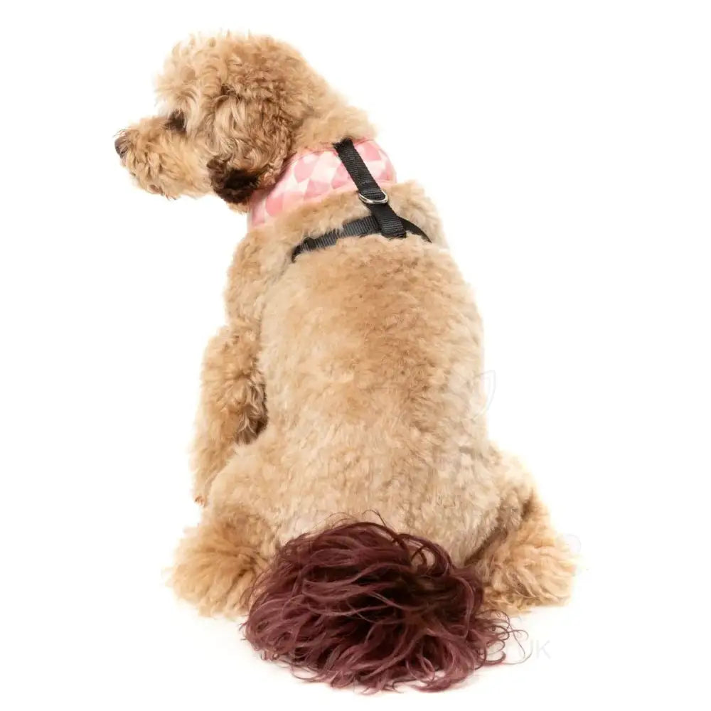 Pink Lemonade Dog Harness by Fuzzyard - Fuzzyard - 6