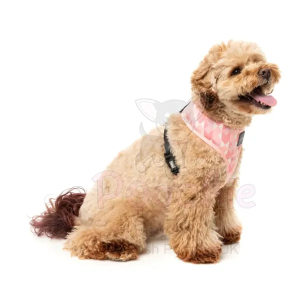 Pink Lemonade Dog Harness by Fuzzyard Fuzzyard 5