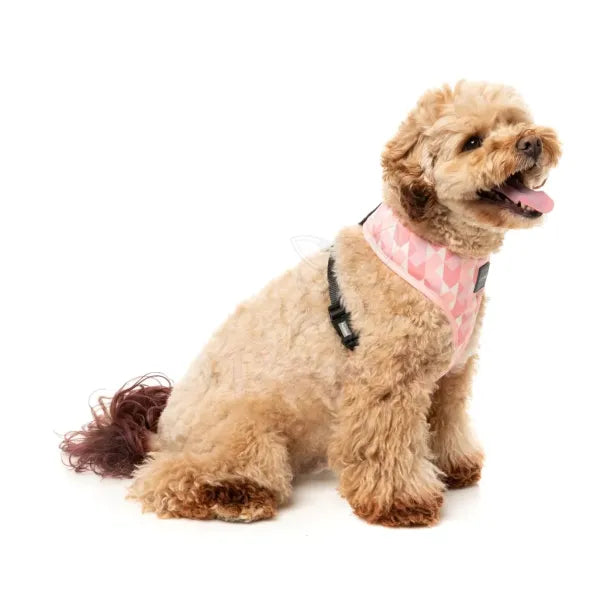 Pink Lemonade Dog Harness by Fuzzyard - Fuzzyard - 5
