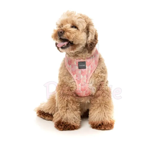 Pink Lemonade Dog Harness by Fuzzyard Fuzzyard 4