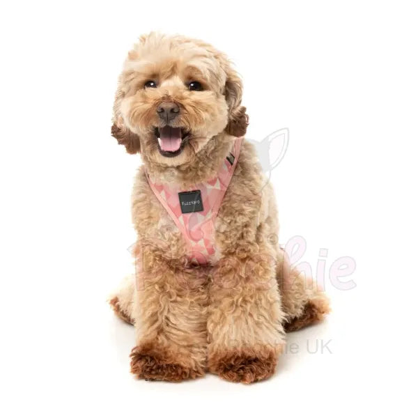 Pink Lemonade Step in Dog Harness by Fuzzyard Fuzzyard 5