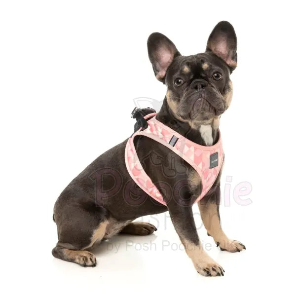 Pink Lemonade Step in Dog Harness by Fuzzyard Fuzzyard 4