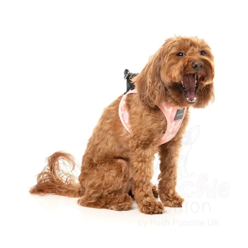 Pink Lemonade Step in Dog Harness by Fuzzyard - Fuzzyard - 6