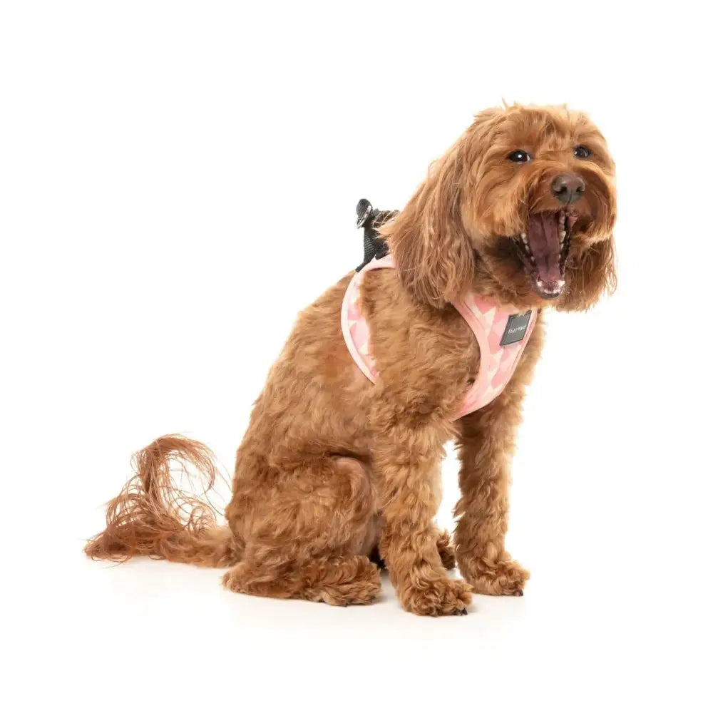 Pink Lemonade Step in Dog Harness by Fuzzyard - Fuzzyard - 6