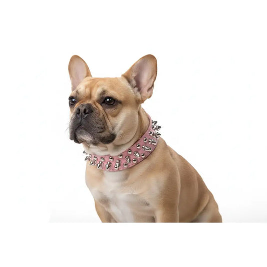 Pink Metro Spike Vegan Leather Dog Collar - Posh Pawz - 2