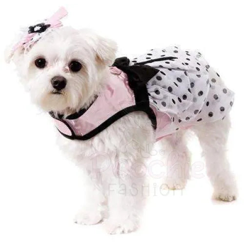 Pink Satin and Hearts Chiffon Dog Harness Dress Set - Urban - 3