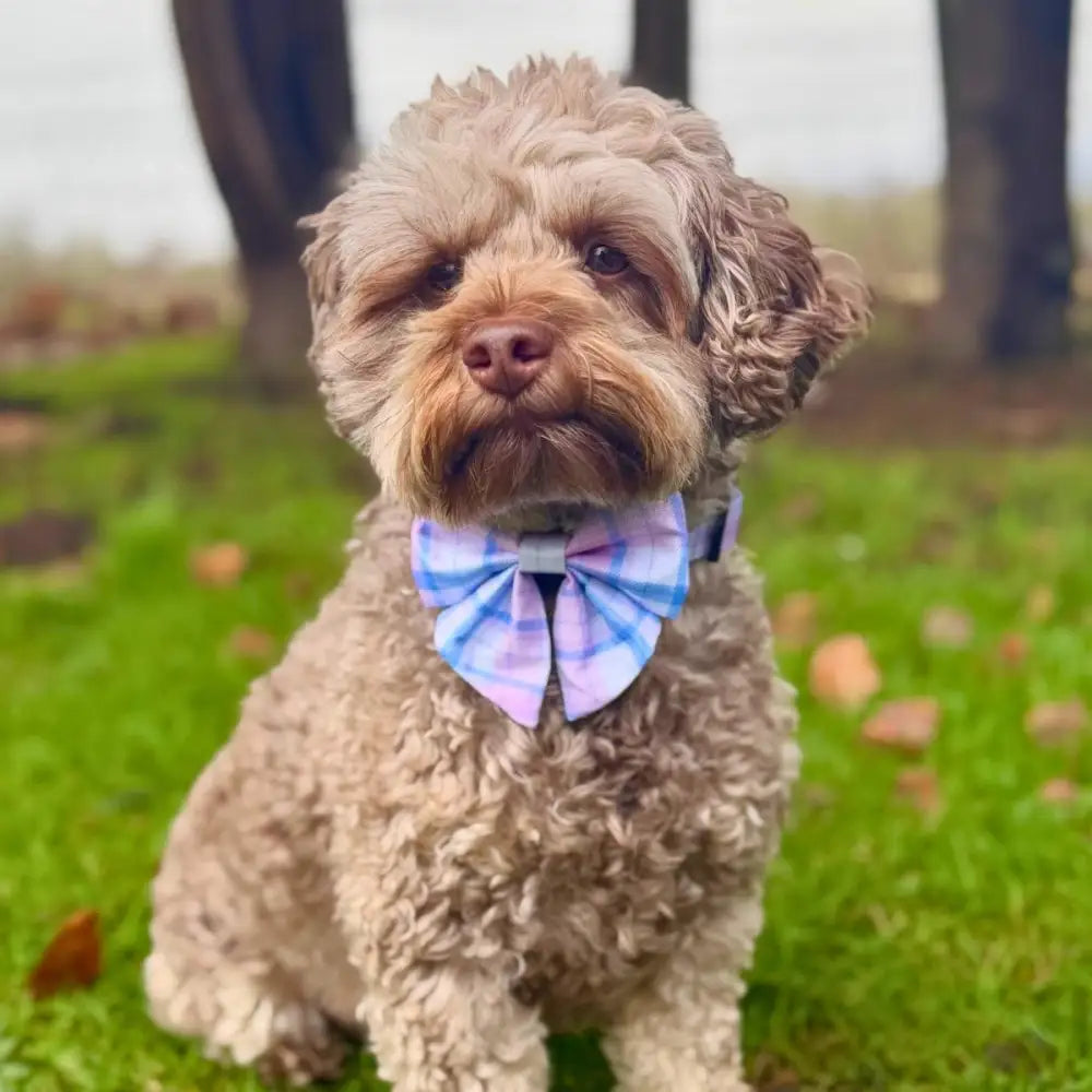 Pink Tartan Dog Sailor Bow - Pupclub Couture - 2