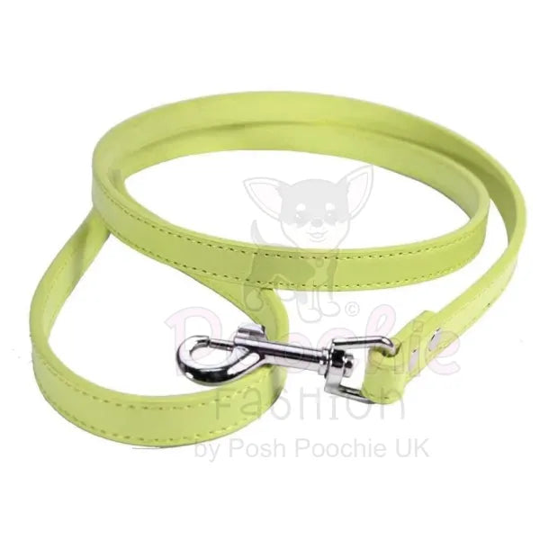Plain Leather Dog Lead - Urban - 9