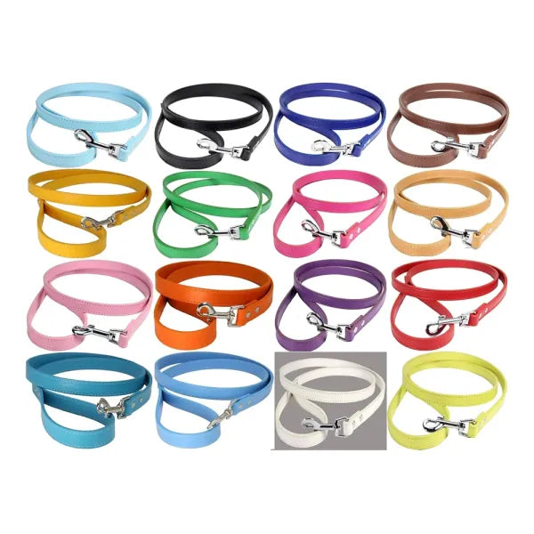 Plain Leather Dog Lead - Urban - 1
