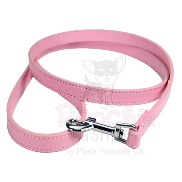 Plain Leather Dog Lead - Urban - 2