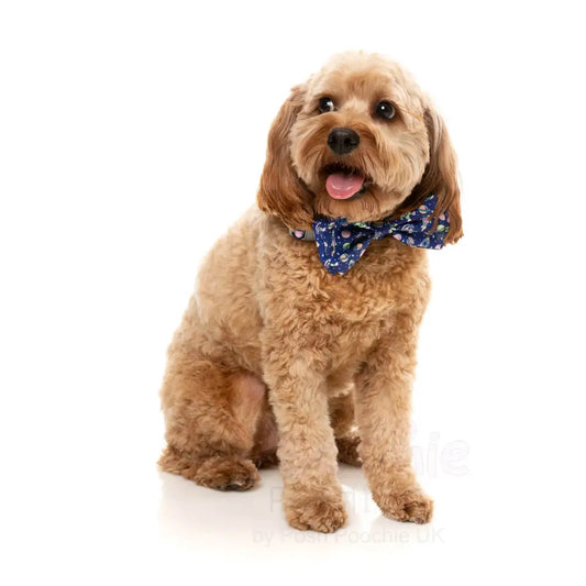 Pluto Pup Bow Tie by Fuzzyard - Fuzzyard - 2