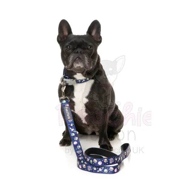 Pluto Pup Dog Collar by Fuzzyard Fuzzyard 2