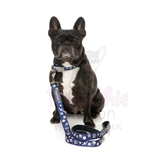 Pluto Pup Dog Collar by Fuzzyard Fuzzyard 2