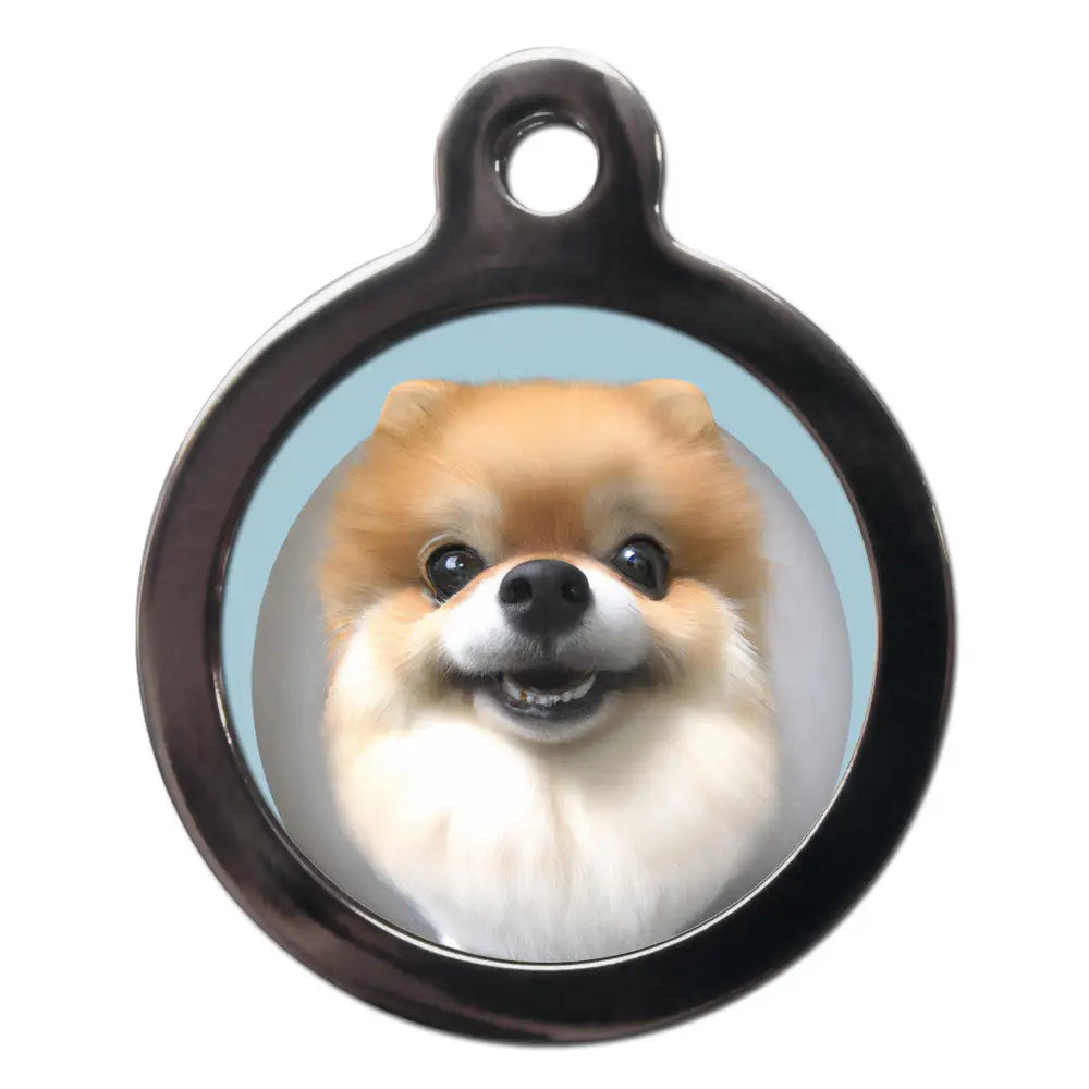 Pomeranian Fish Eye Lens Dog Id Tag - Ps Pet Tags - 1