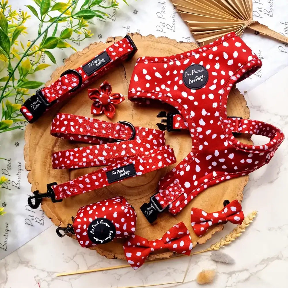 Poppy Toadstool Spots Dog Collar - Pet Pooch - 3