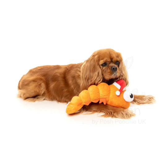 Prawn Mendes Dog Toy by Fuzzyard - Fuzzyard - 2