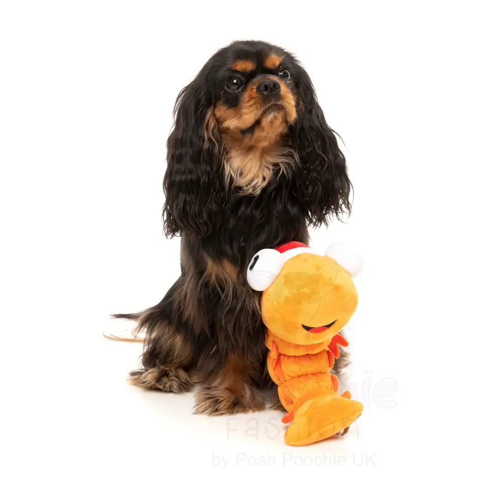 Prawn Mendes Dog Toy by Fuzzyard - Fuzzyard - 3