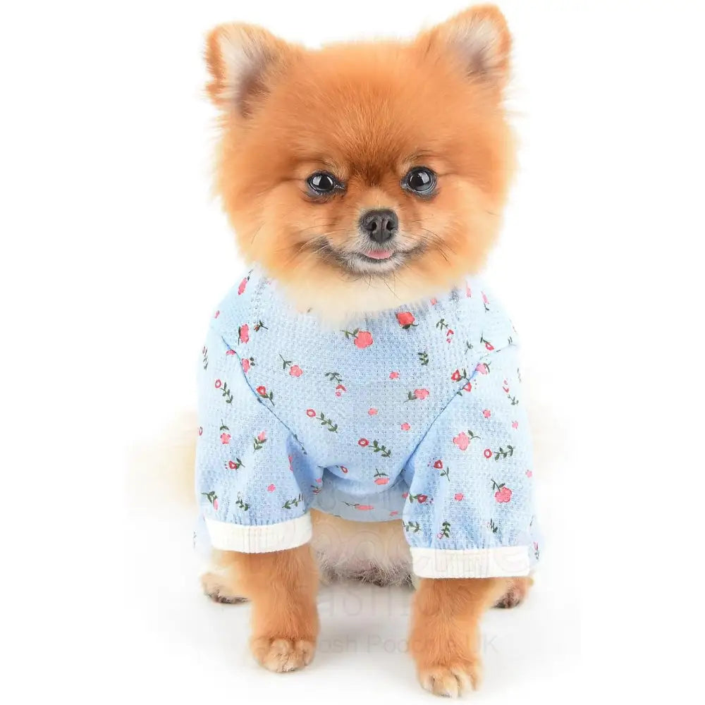 Pretty Floral Small Dog Pyjamas Blue - Posh Pawz - 3