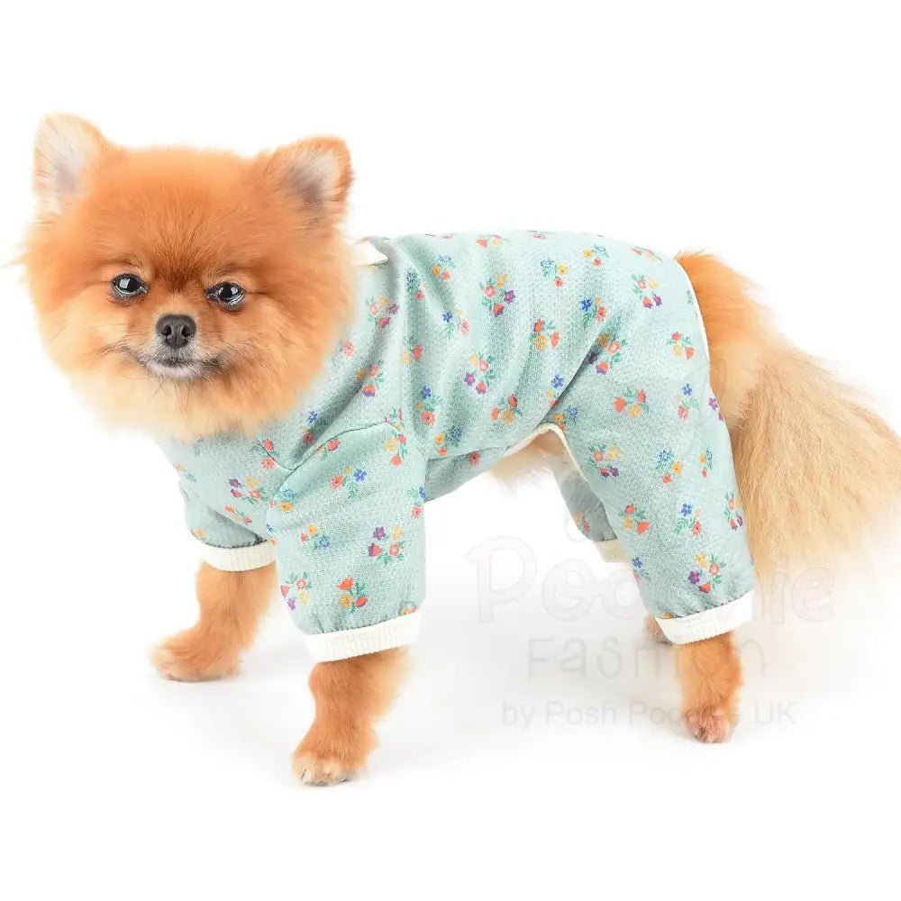 Pretty Floral Small Dog Pyjamas Green - Posh Pawz - 2