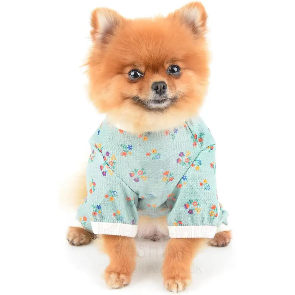 Pretty Floral Small Dog Pyjamas Green - Posh Pawz - 3