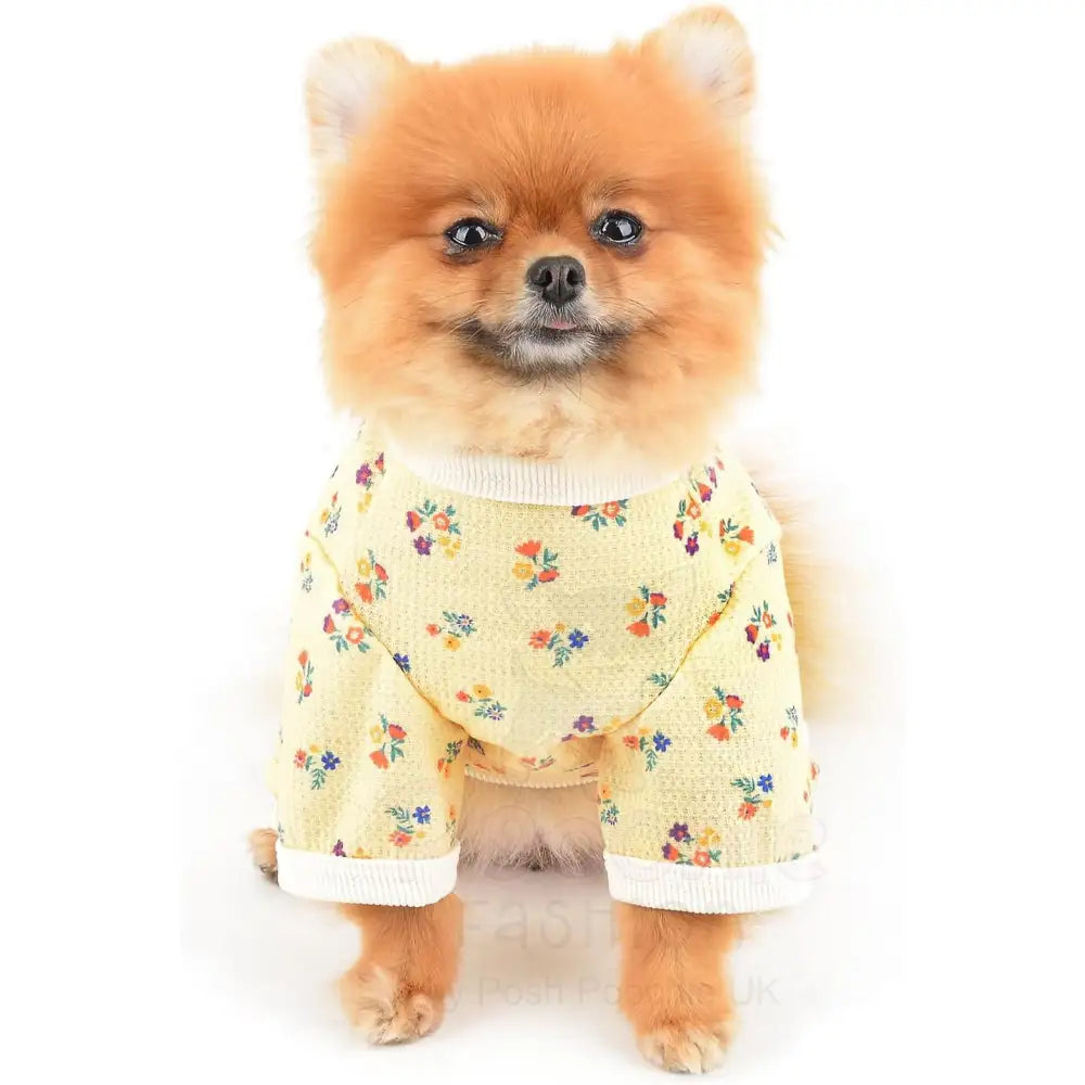 Pretty Floral Small Dog Pyjamas Yellow - Posh Pawz - 3