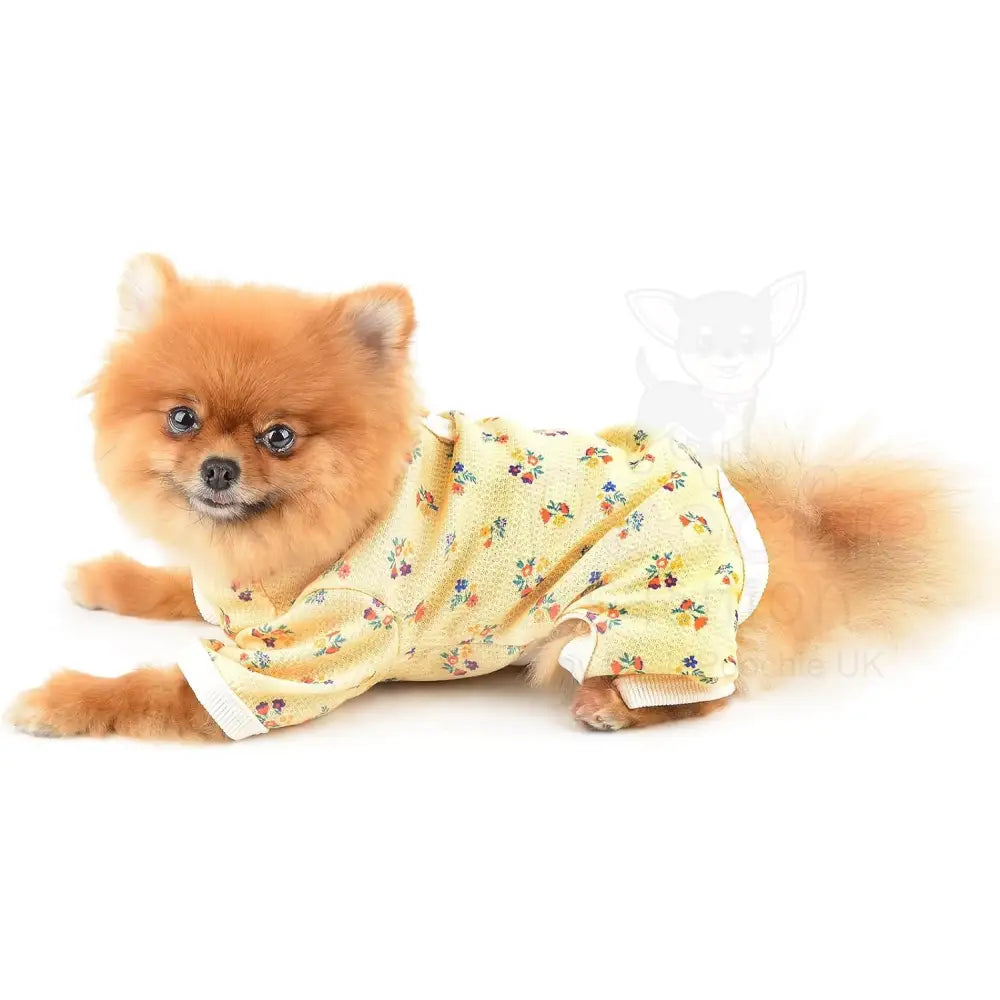 Pretty Floral Small Dog Pyjamas Yellow - Posh Pawz - 4