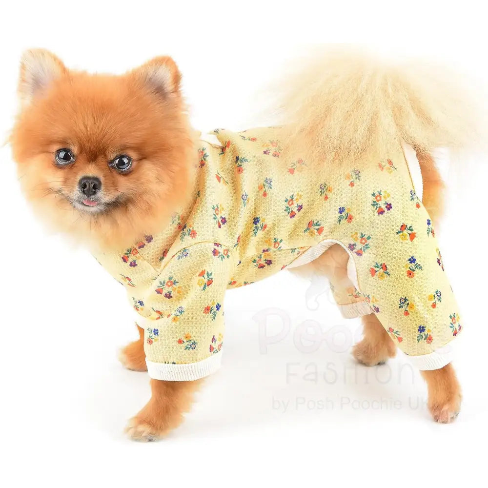 Pretty Floral Small Dog Pyjamas Yellow - Posh Pawz - 2
