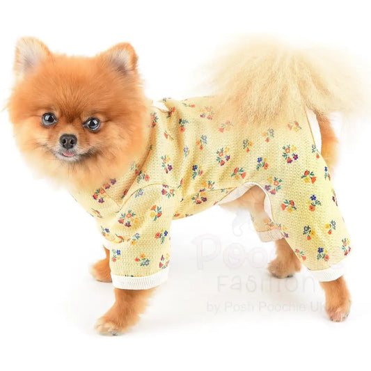 Pretty Floral Small Dog Pyjamas Yellow - Posh Pawz - 2