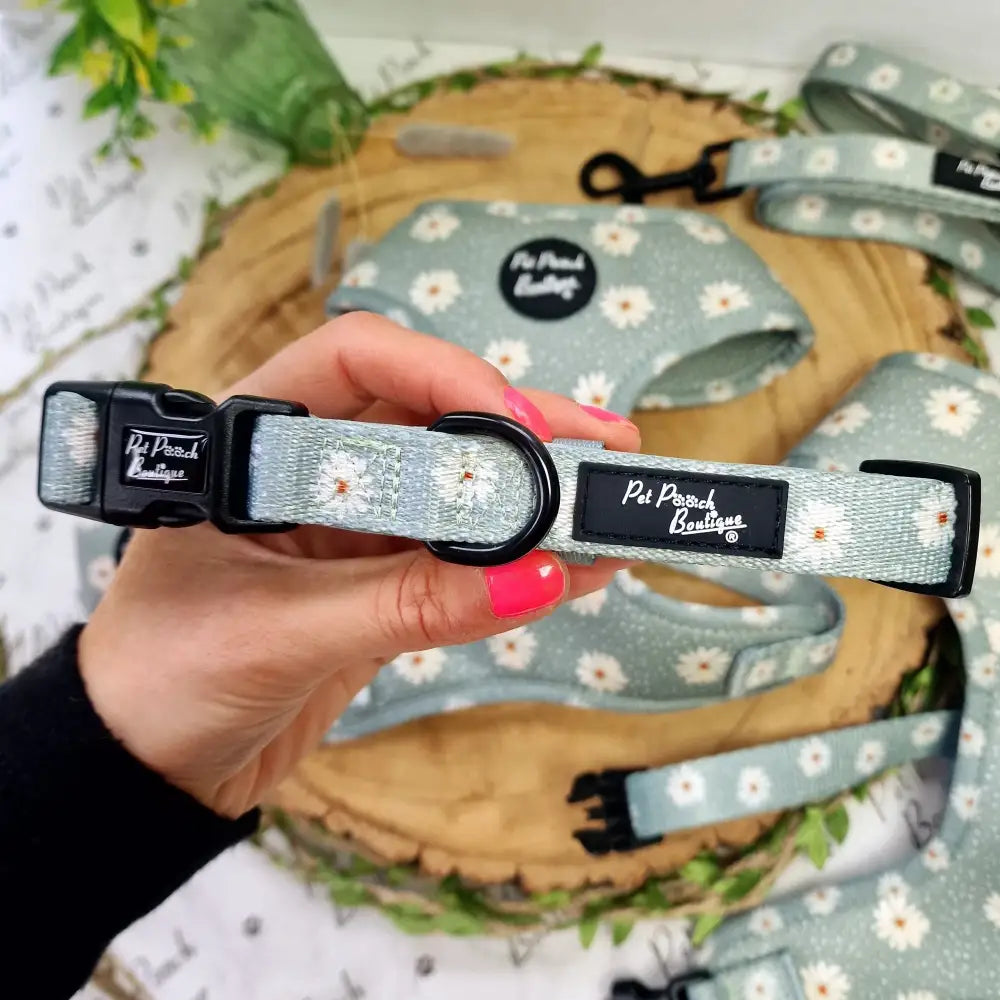 Pretty Little Daisies Dog Collar - Pet Pooch - 1