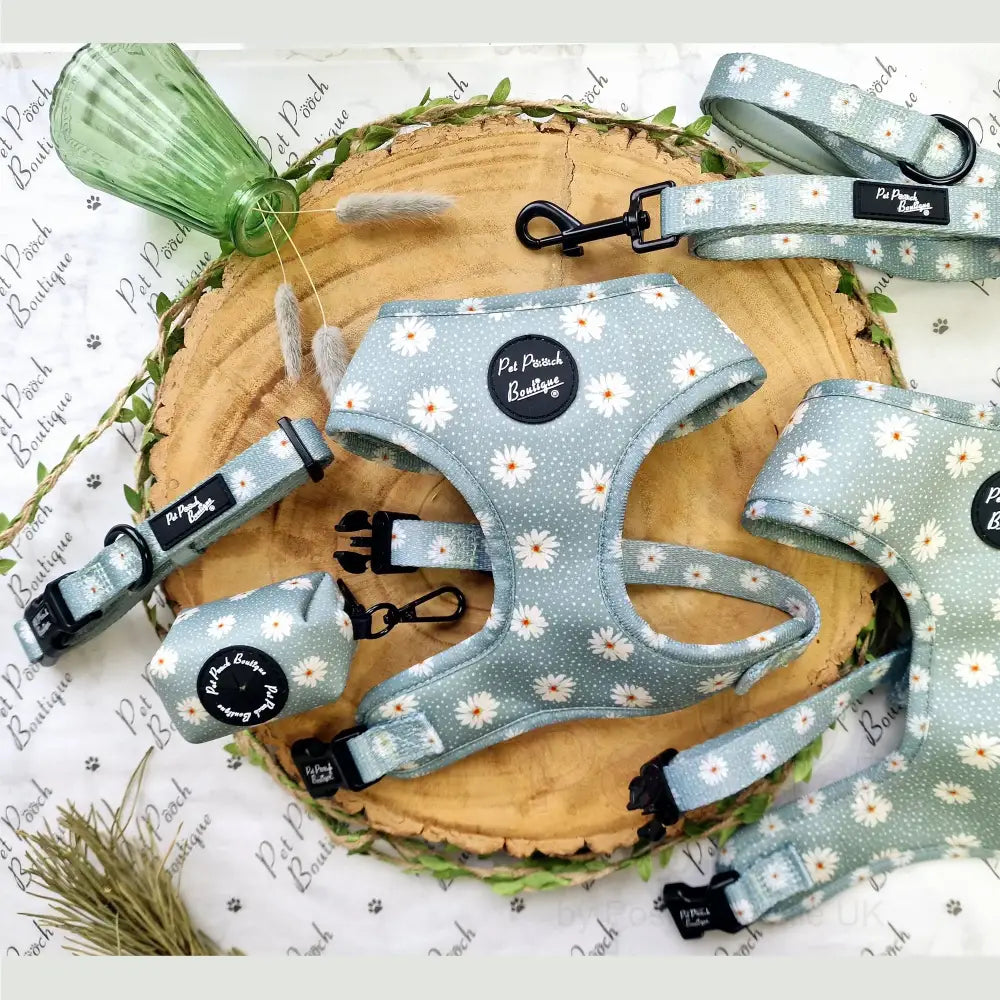 Pretty Little Daisies Dog Collar - Pet Pooch - 3