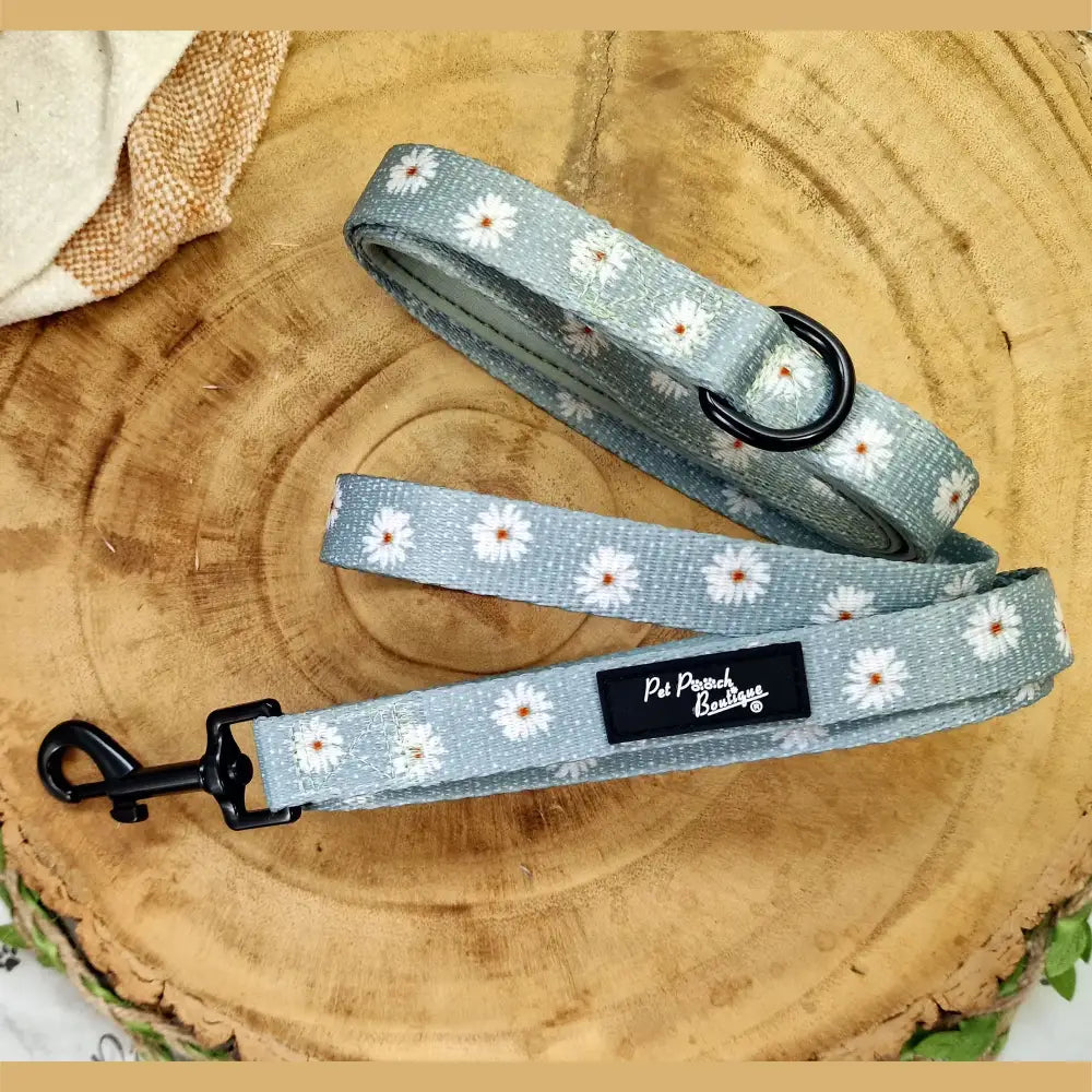 Pretty Little Daisies Dog Lead - Pet Pooch - 1