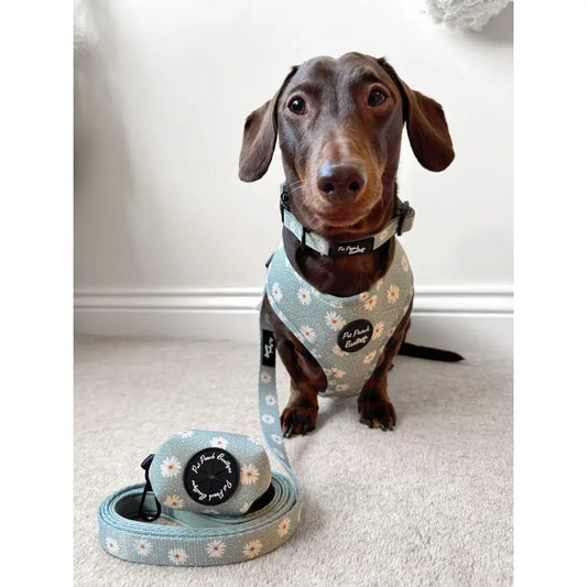 Pretty Little Daisies Dog Poo Bag Holder - Pet Pooch - 2