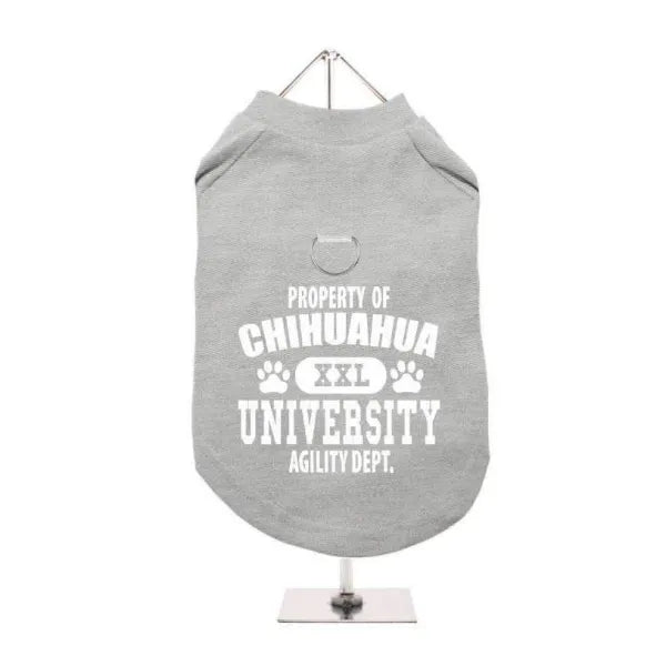 Property of Chihuahua University Harness Lined Dog T-shirt Grey - Urban - 1