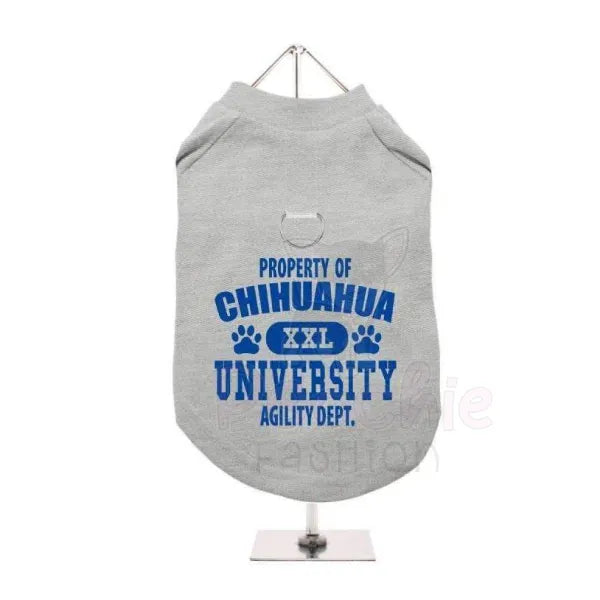 Property of Chihuahua University Harness Lined Dog T-shirt Grey - Urban - 2