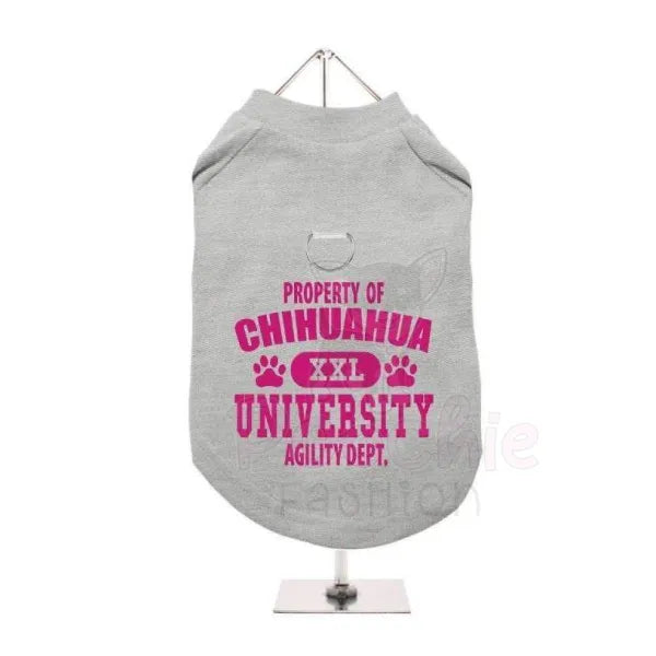 Property of Chihuahua University Harness Lined Dog T-shirt Grey - Urban - 3