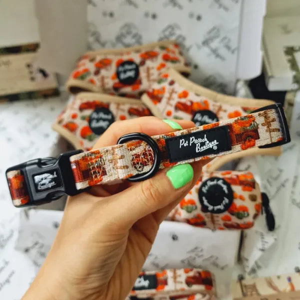 Pumpkin Harvest Dog Collar Pet Pooch 1