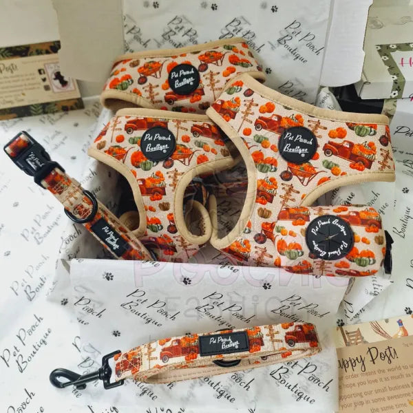 Pumpkin Harvest Dog Harness - Pet Pooch - 7