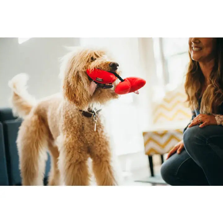 Puppy Love Fur-ever Hearts Valentines Dog Toy by P.l.a.y - P.l.a.y - 5