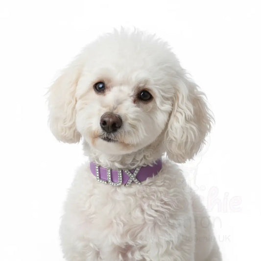 Purple Waterproof Personalised Dog Collar with Large Diamante Letters - Poochie Fashion - 2