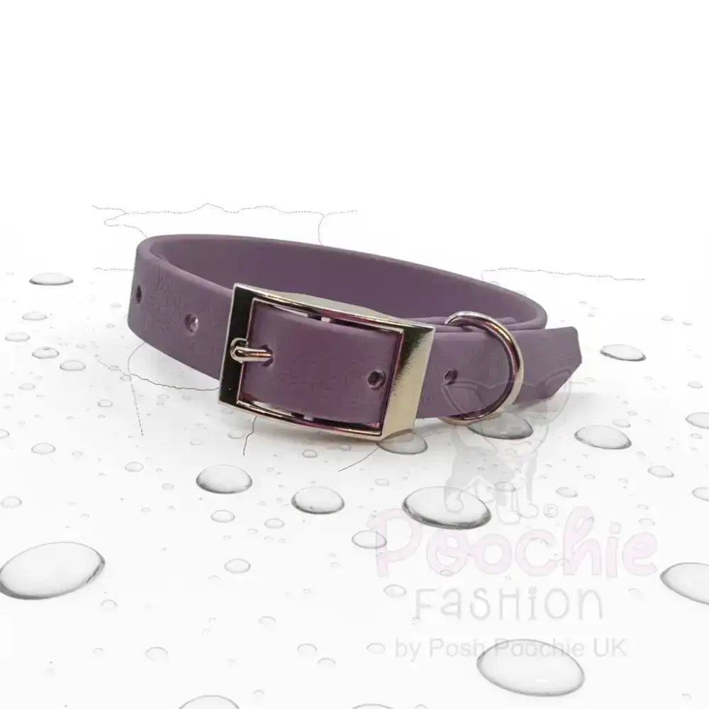 Purple Waterproof Personalised Dog Collar with Large Chrome Letters - Poochie Fashion - 5